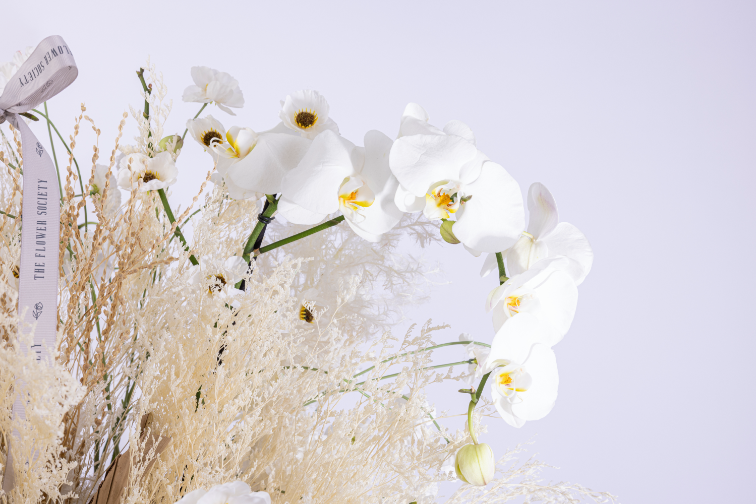 THE BRIDAL BLOOM