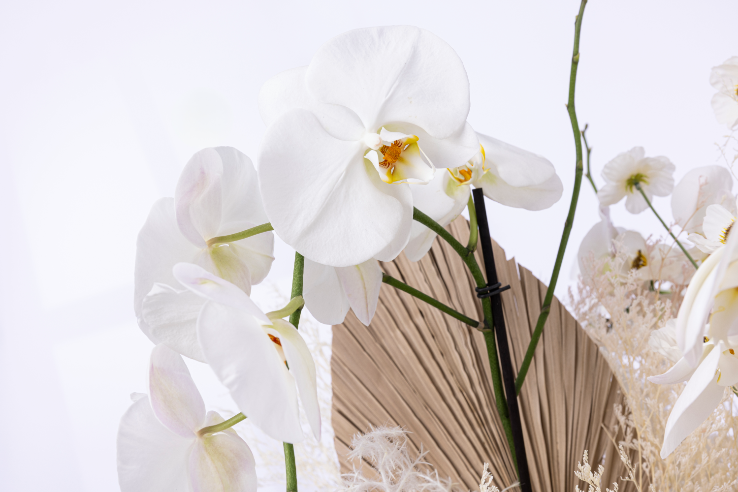 THE BRIDAL BLOOM