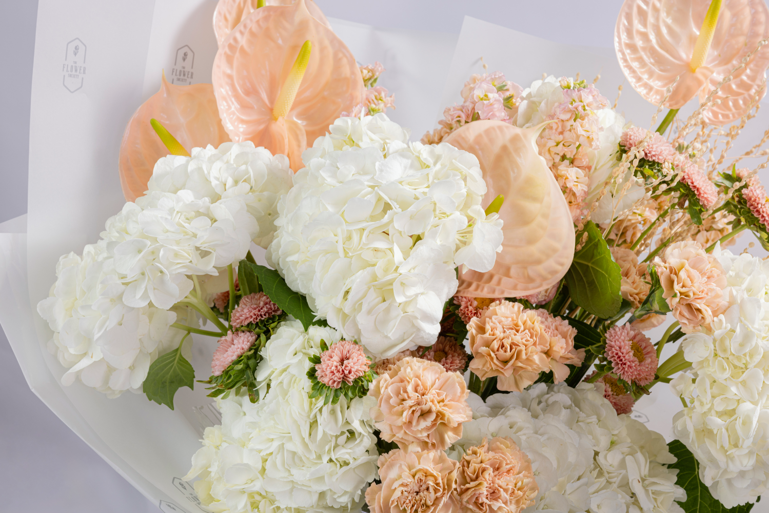 PALE PETAL BEIRUT