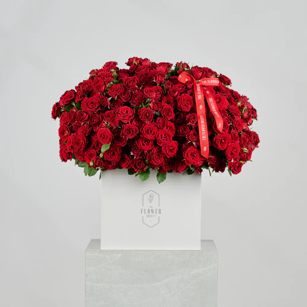 A RED CLASSIC PASSION