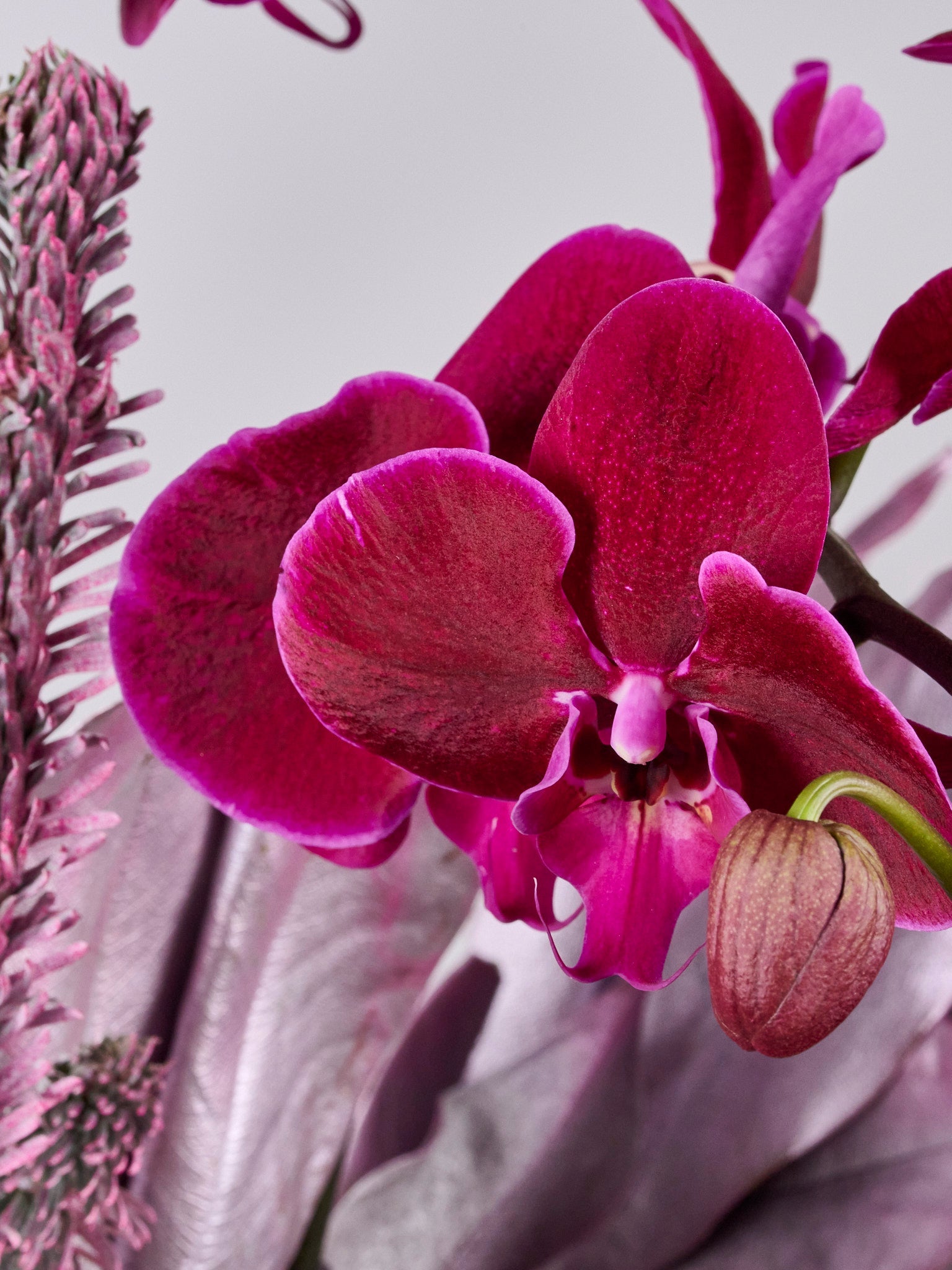 SUGARFROST MISTLEPOP