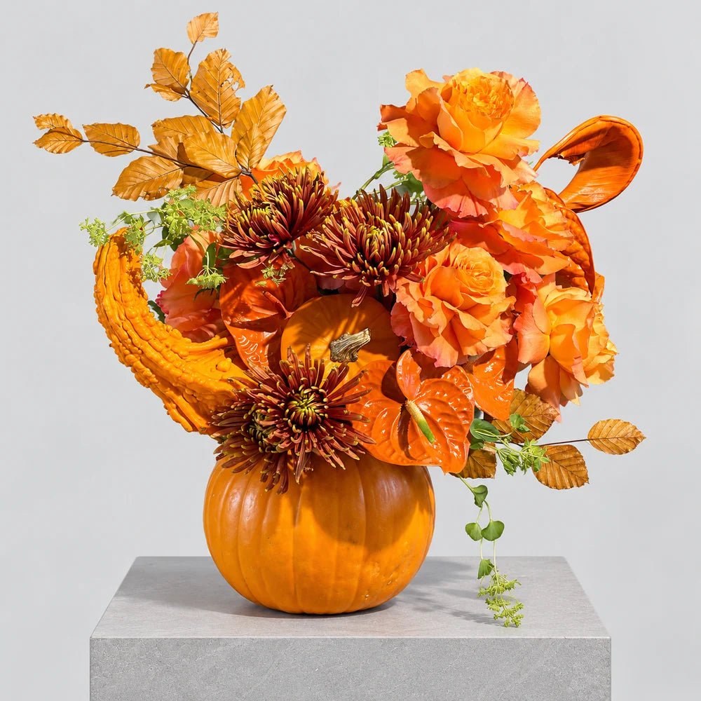 HALLOWEEN ORANGE