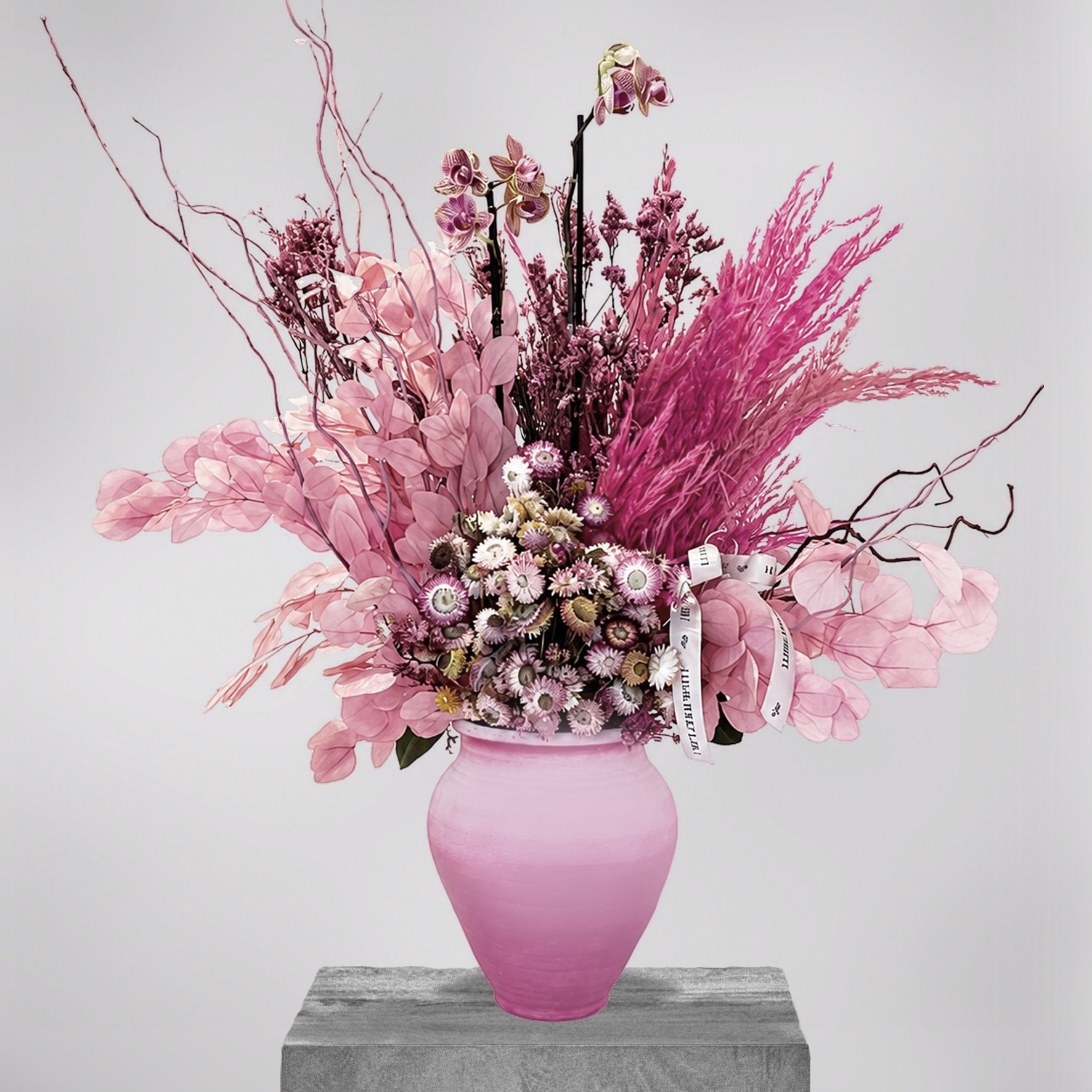 BLUSH IMMORTELLE
