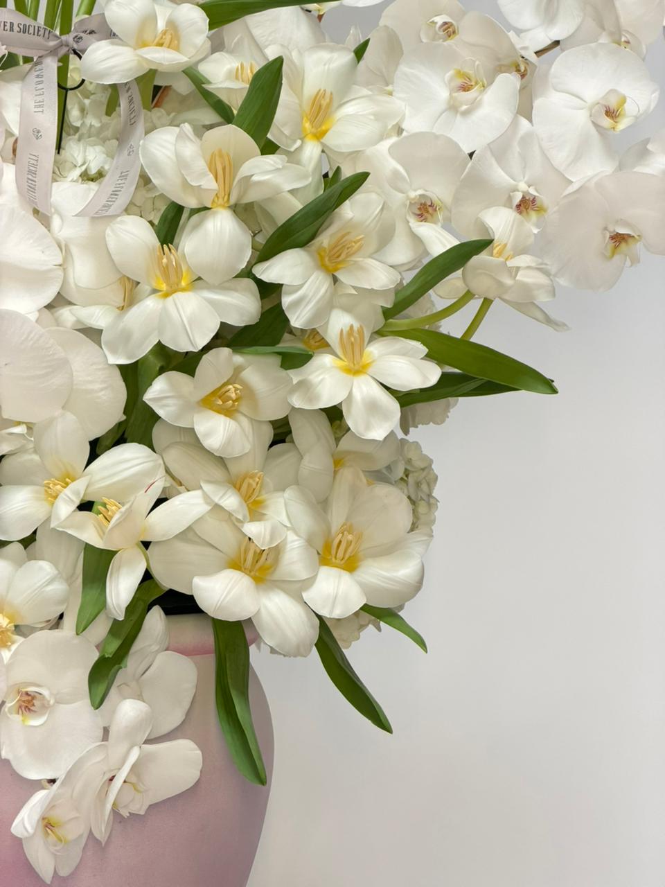 FULL BLOOM