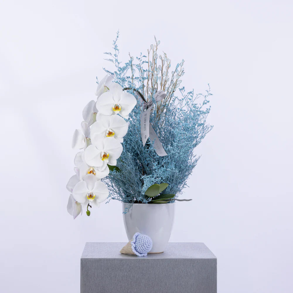 ORCHID ELEGANCE