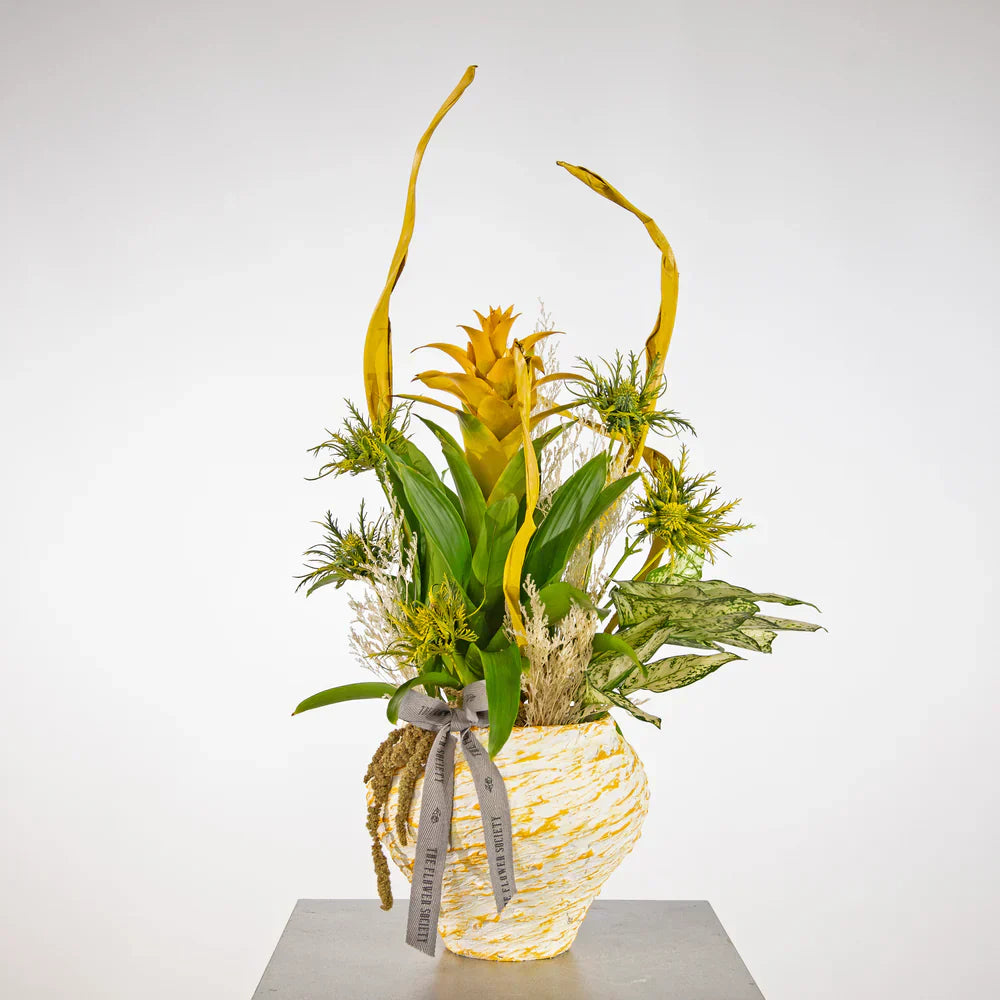 PLANT COLLECTION