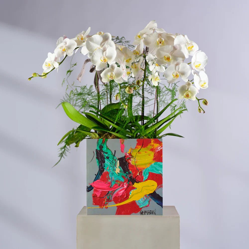 GET WELL SOON COLLECTION