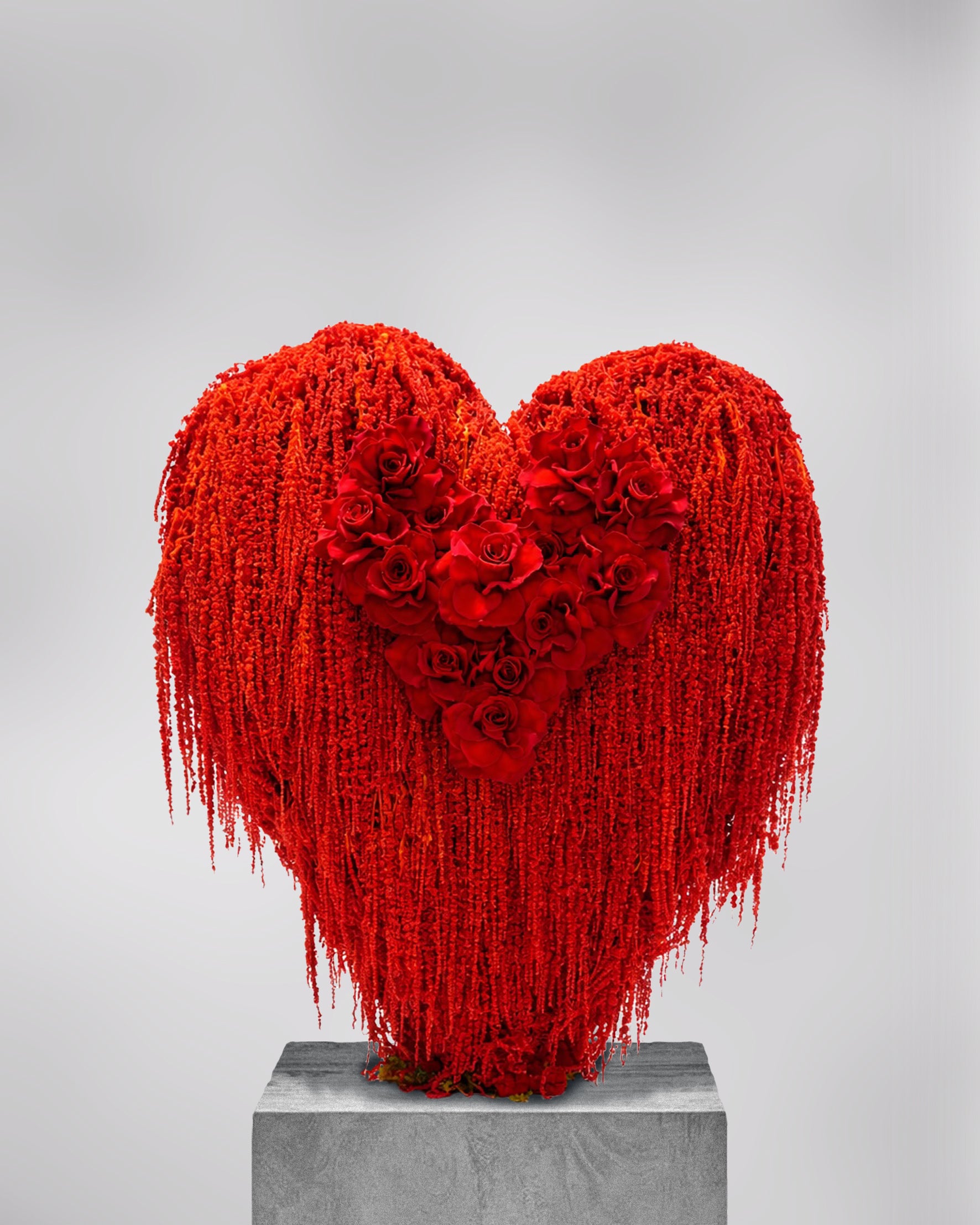 HEART OF ROSES