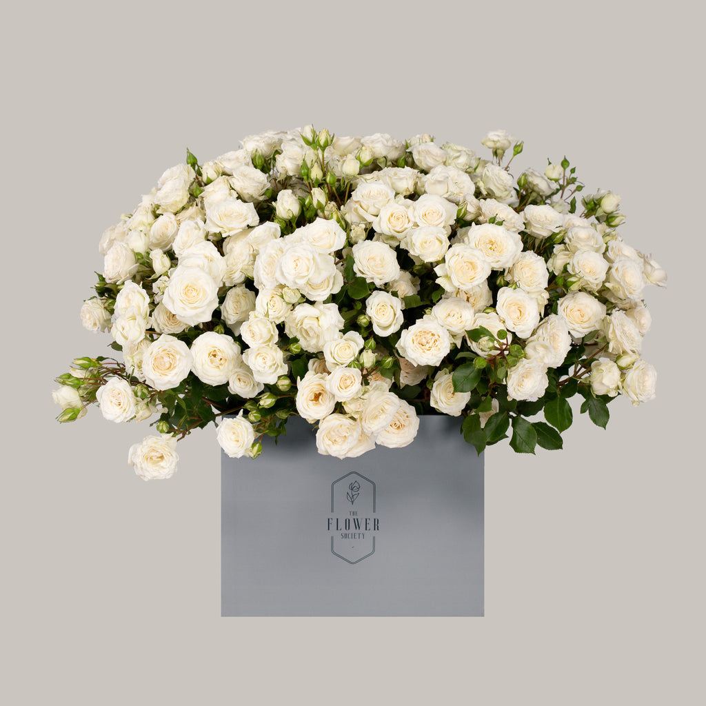 Roses A White Classic Passion, Online Delivery Beirut, Lebanon