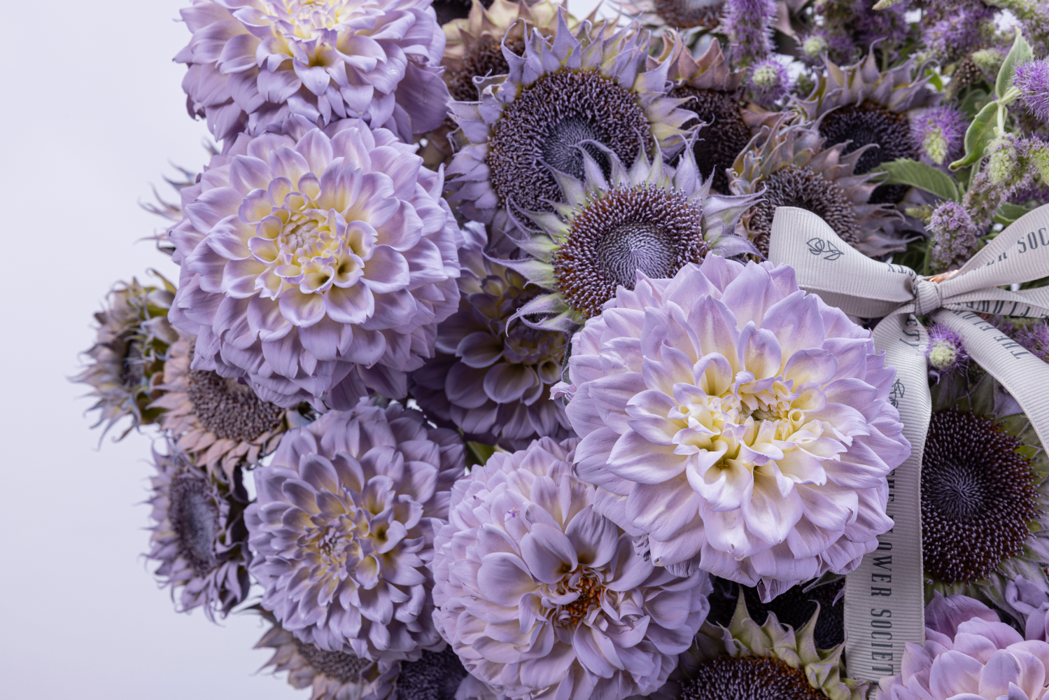 LILAC SOUK