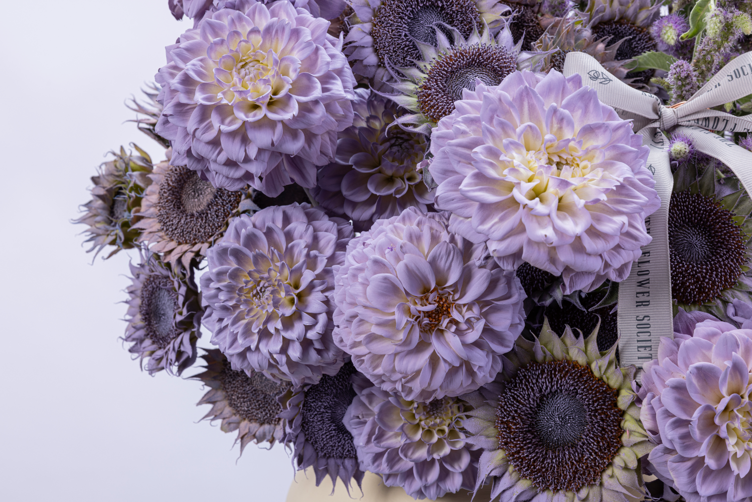 LILAC SOUK