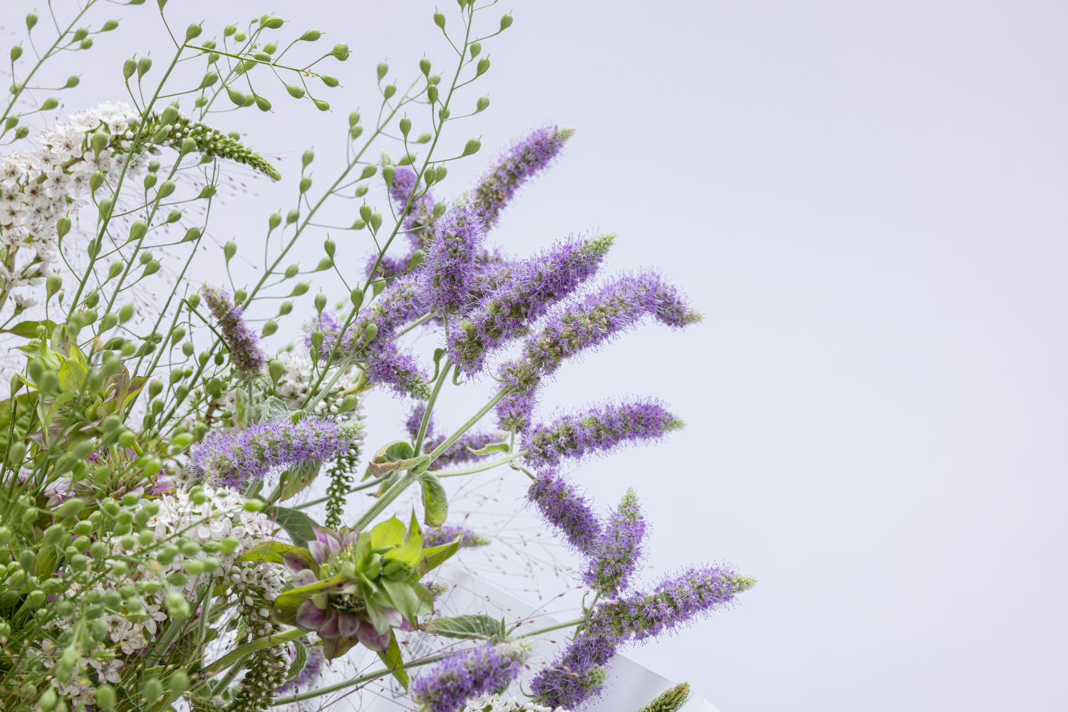 BEIRUT'S HIDDEN GARDEN