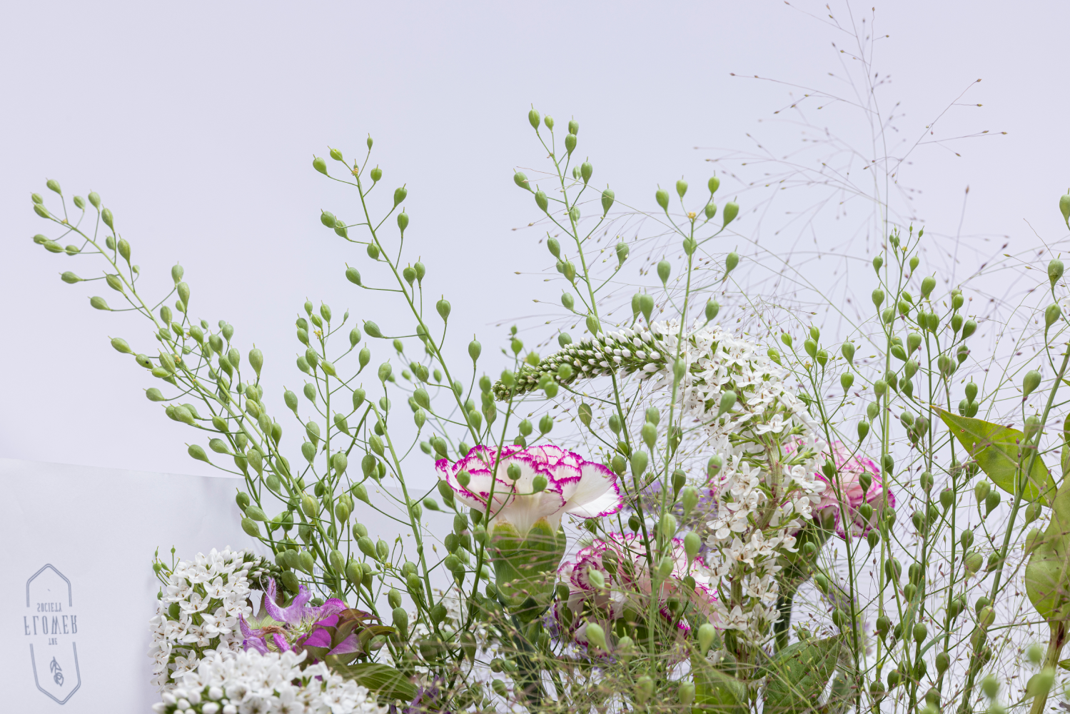 BEIRUT'S HIDDEN GARDEN