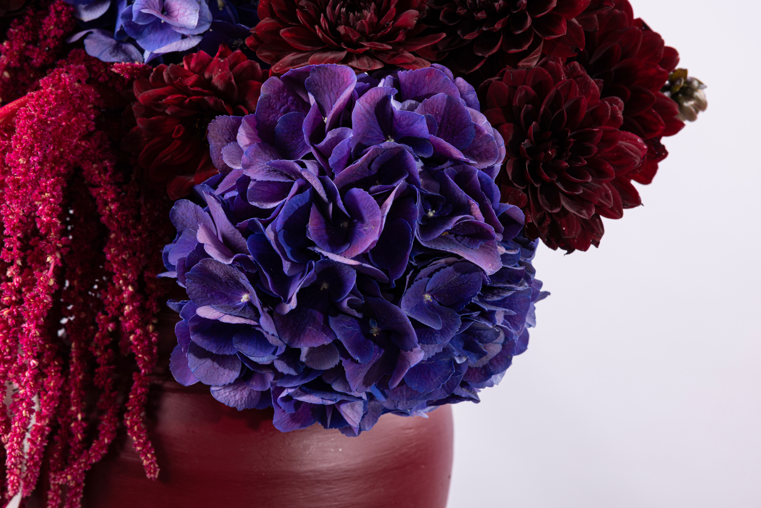 AUBERGINE BLOOM