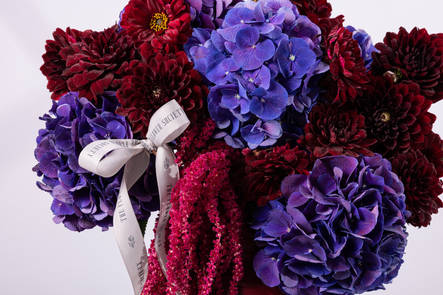 AUBERGINE BLOOM