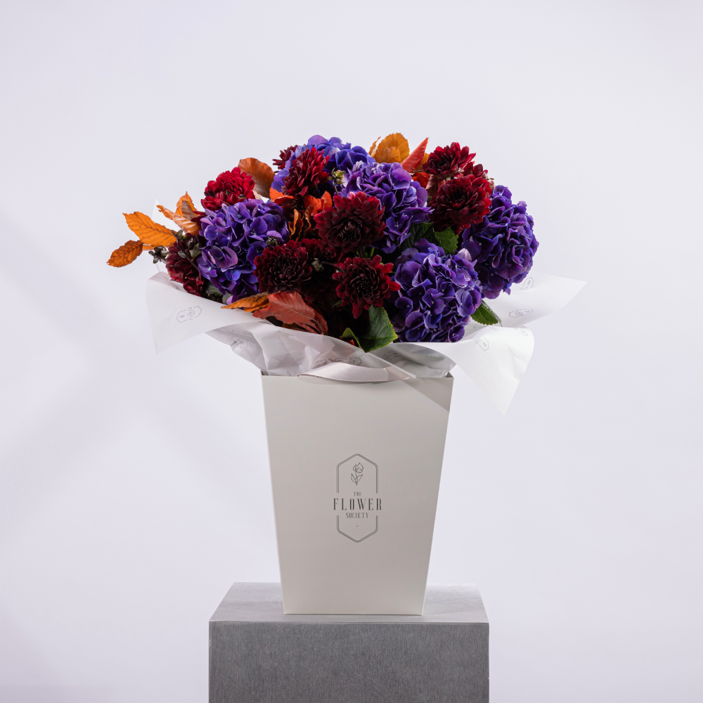 AUBERGINE BLOOM