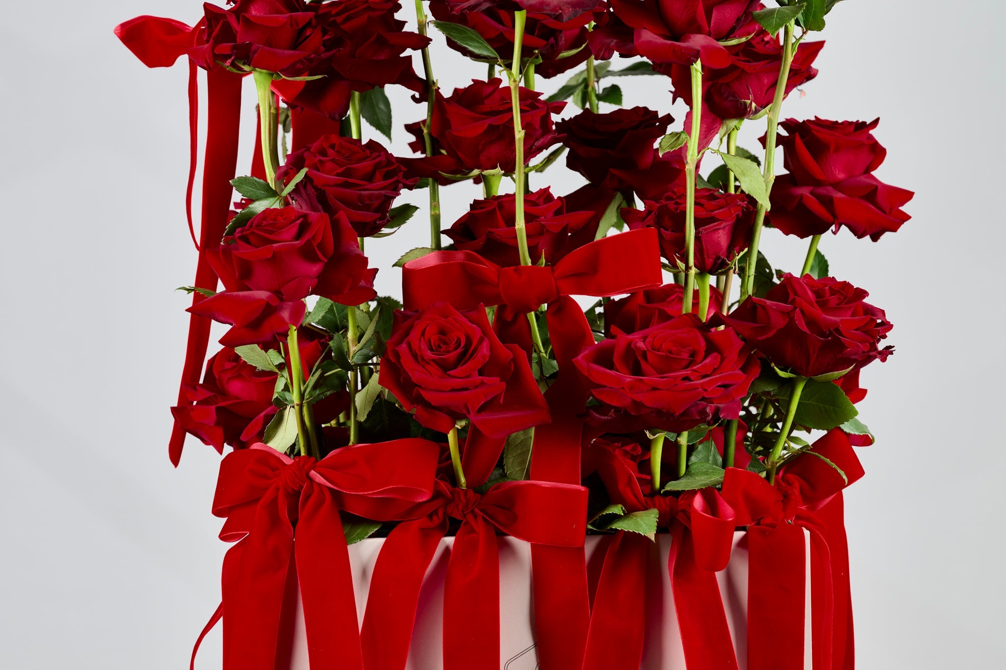 VELVET & VOWS