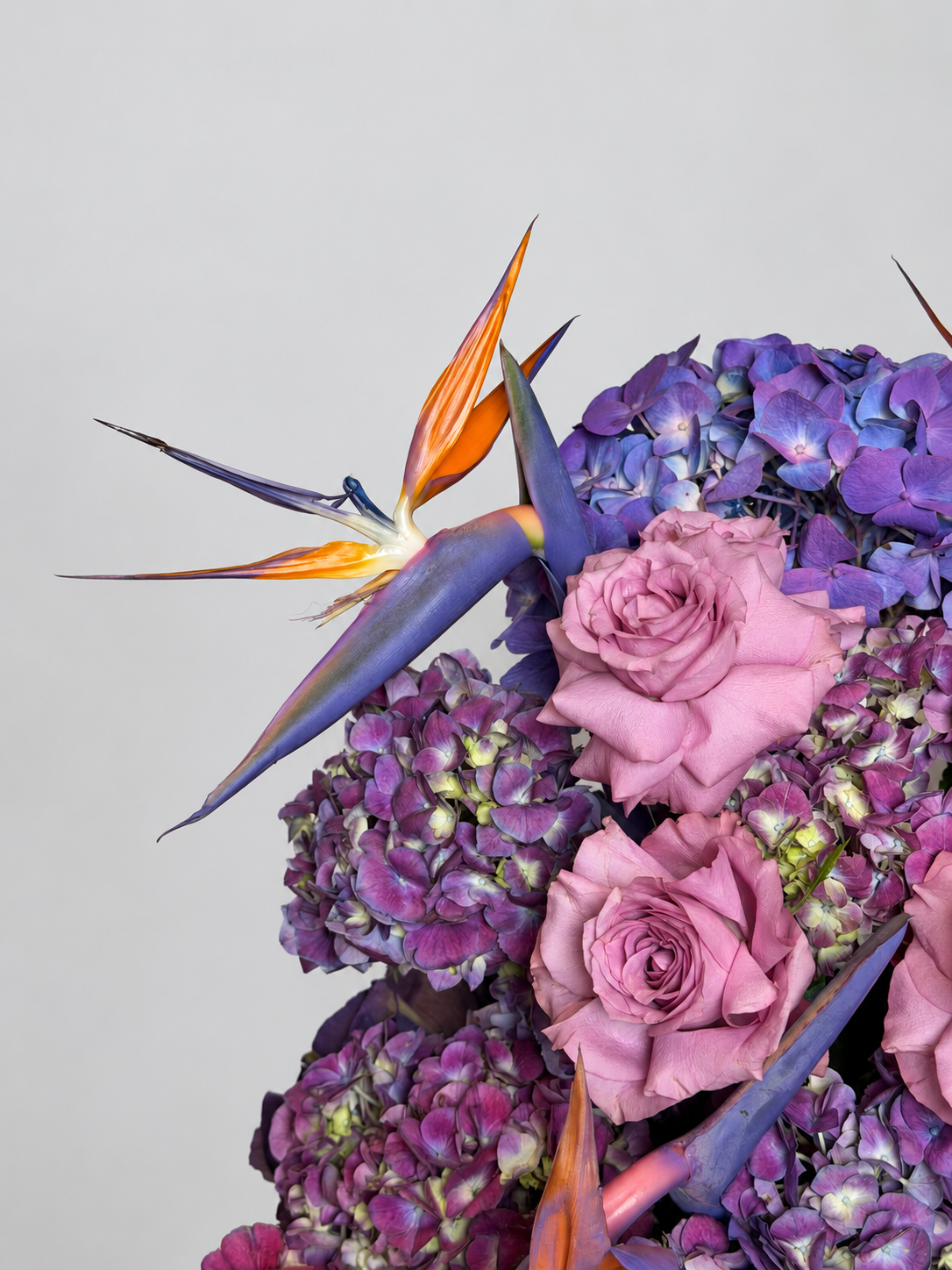 BIRDS IN BLOOM