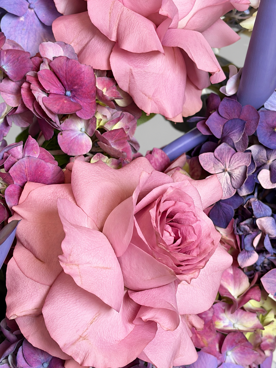 BIRDS IN BLOOM