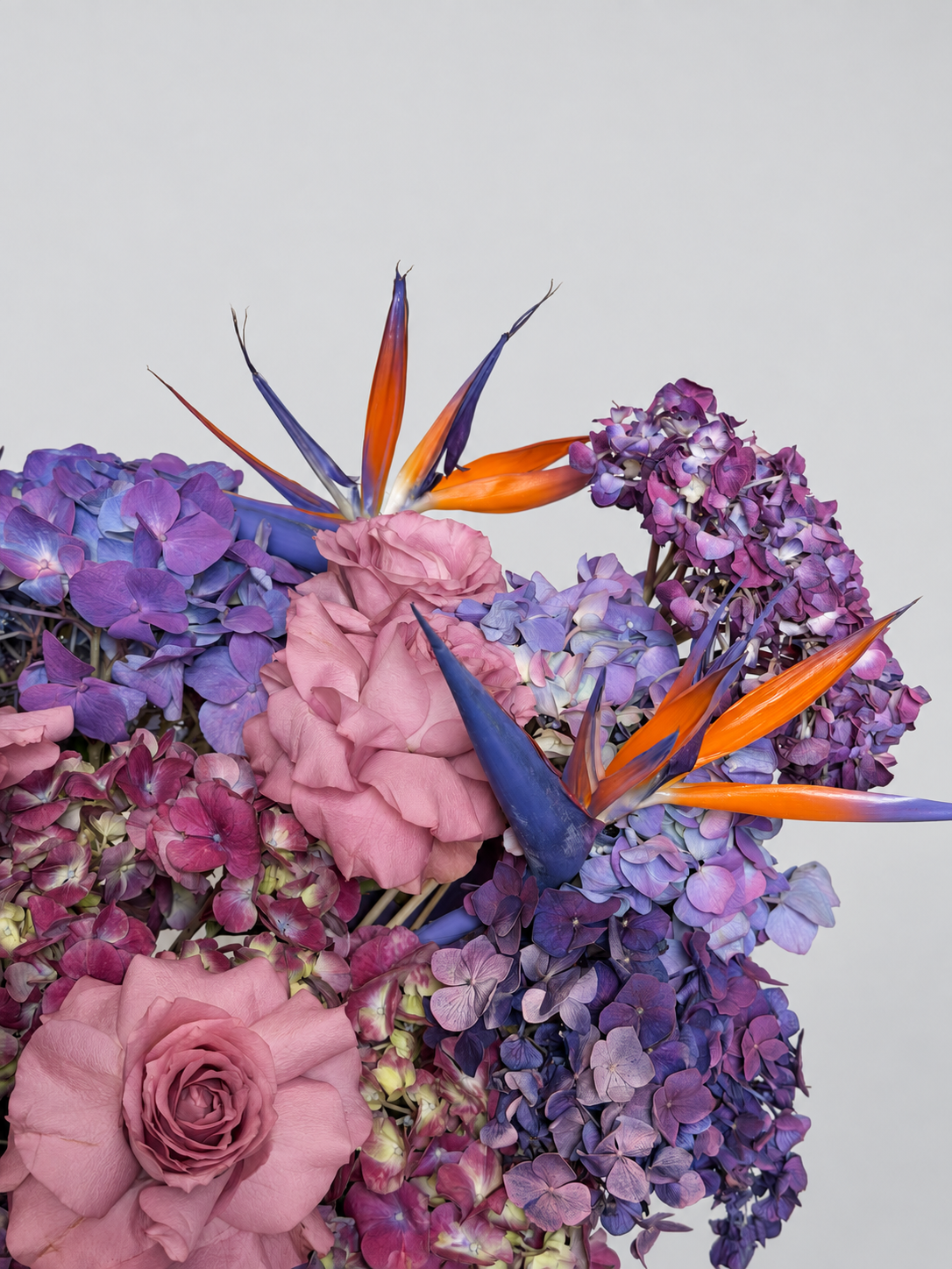 BIRDS IN BLOOM