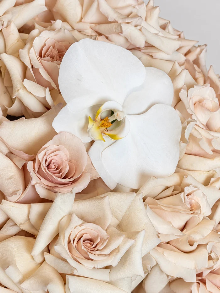QUICK SAND ROSES BOUQUET