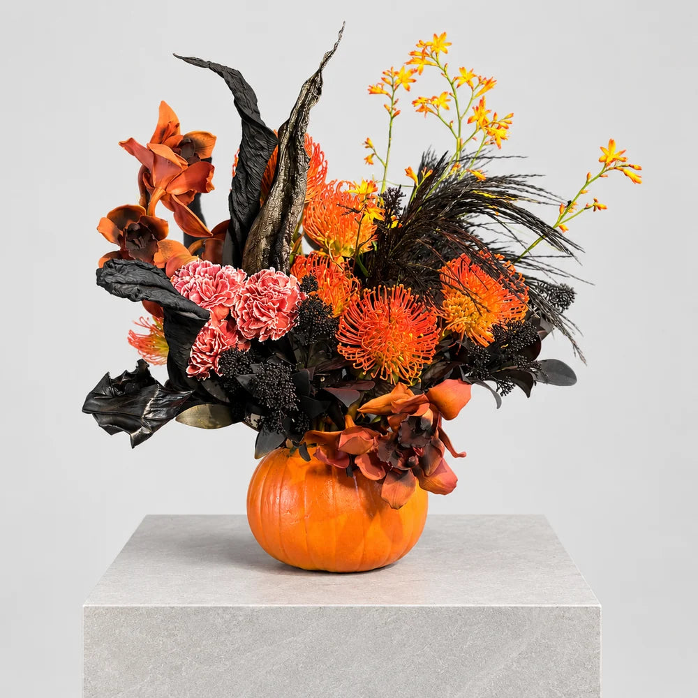 HALLOWEEN ORANGE BLACK
