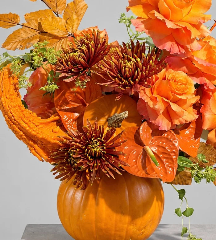 HALLOWEEN ORANGE