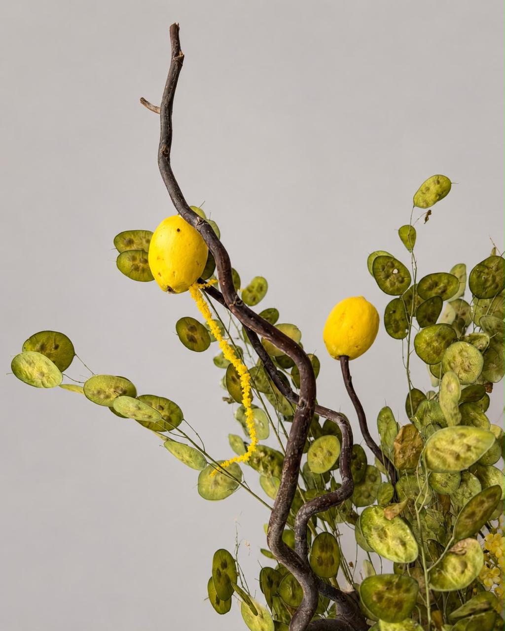 CITRUS CASCADE