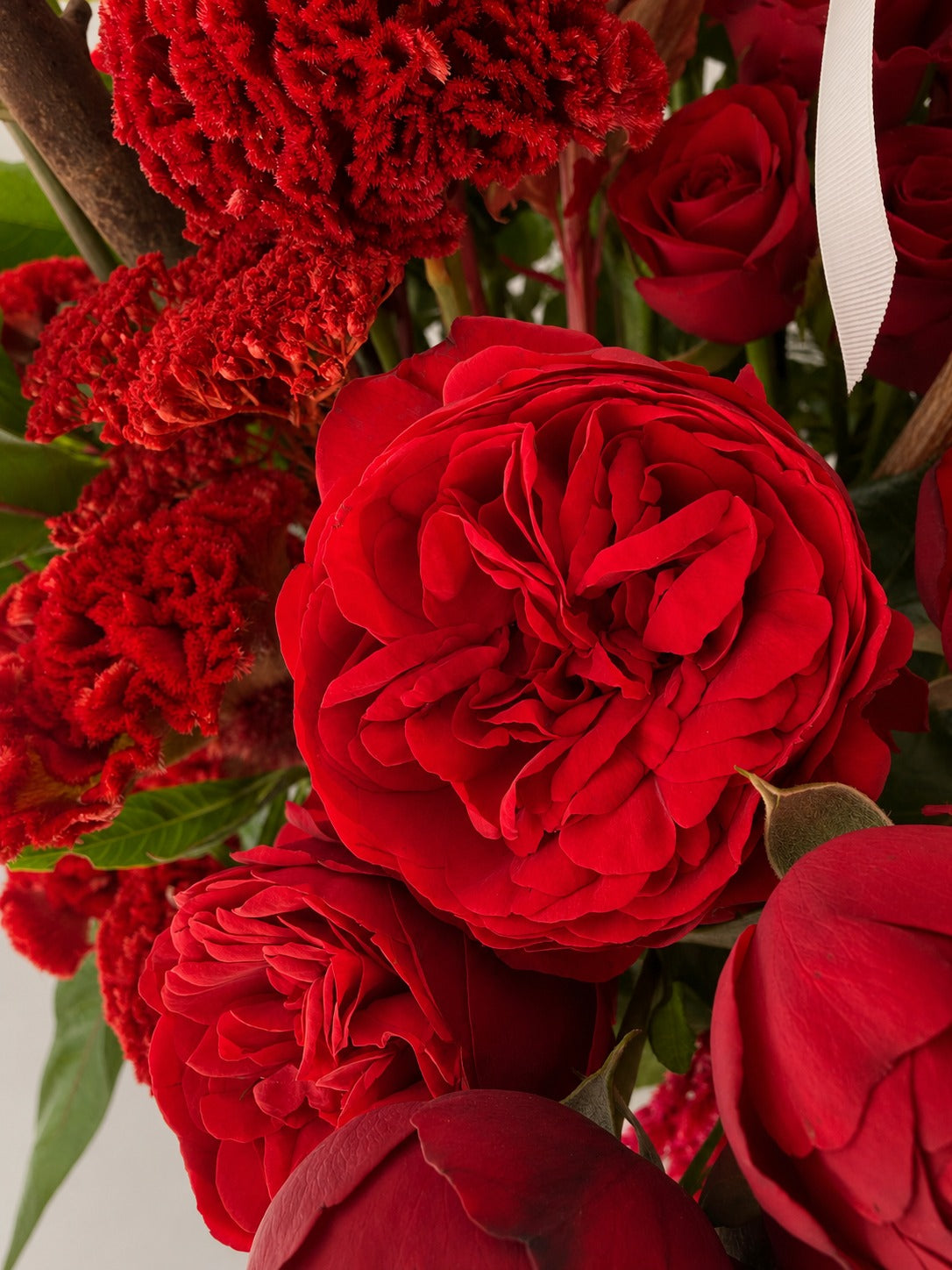 RUBY BLOOM